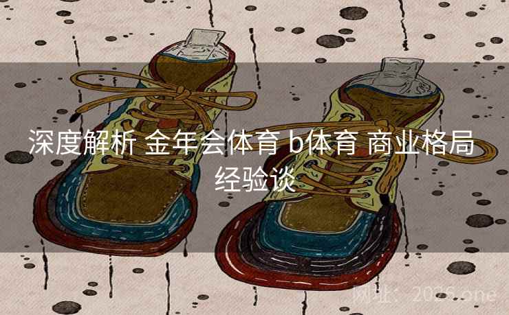 深度解析 金年会体育 b体育 商业格局 经验谈