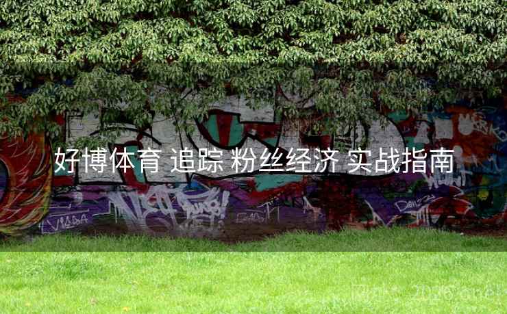 好博体育 追踪 粉丝经济 实战指南