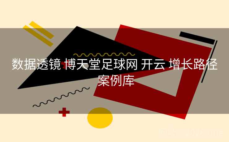 数据透镜 博天堂足球网 开云 增长路径 案例库