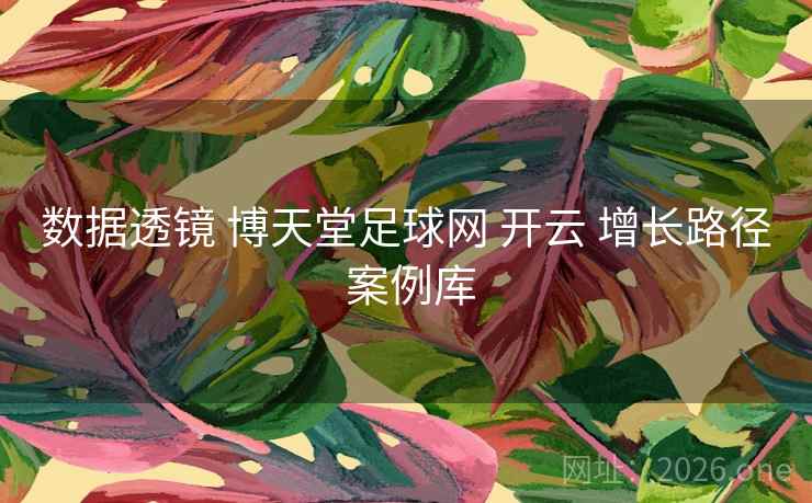 数据透镜 博天堂足球网 开云 增长路径 案例库