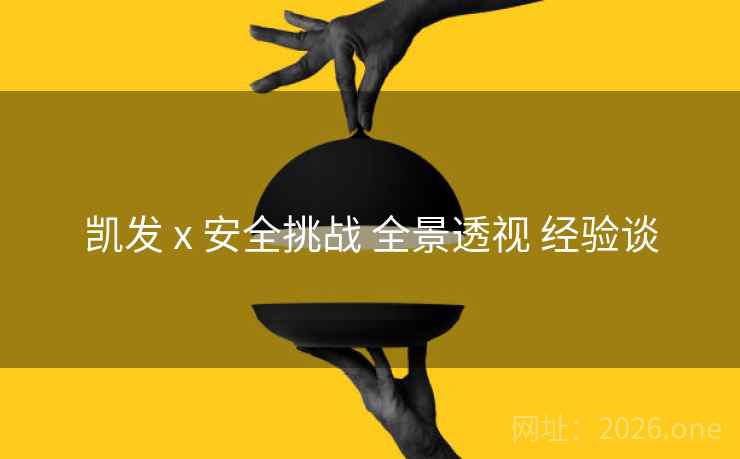 凯发 x 安全挑战 全景透视 经验谈