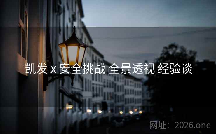 凯发 x 安全挑战 全景透视 经验谈