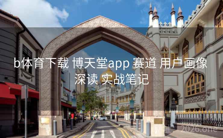 b体育下载 博天堂app 赛道 用户画像 深读 实战笔记