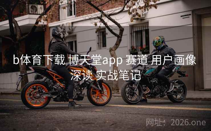 b体育下载 博天堂app 赛道 用户画像 深读 实战笔记