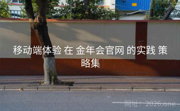 移动端体验 在 金年会官网 的实践 策略集