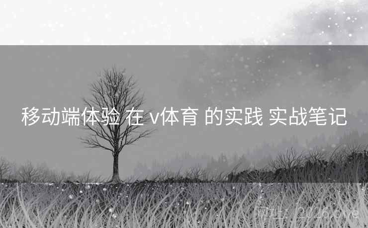移动端体验 在 v体育 的实践 实战笔记