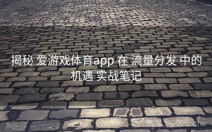 揭秘 爱游戏体育app 在 流量分发 中的机遇 实战笔记